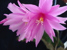 DSC07180