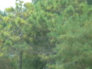 DSCN1578