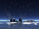 coldplce2_l