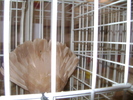 Picture 072