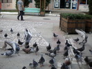 DSCN0128