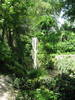 Cascada
