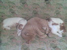 Imag046