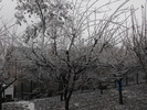 DSCF2212
