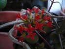 Picture 035