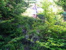 DSCF4498