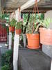 DSC09205
