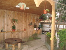 DSC09822
