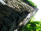 DSCF0563