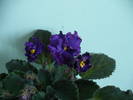 P1110033