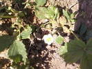 Fotografii-0036