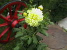 Picture 029
