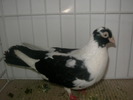 SANY0095