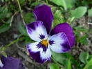 P1050134