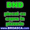 dnd plecat cu piatra la pizzarie