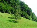 DSCF4905