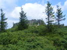 DSCF4169
