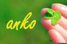 anko