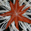 HERRENBERG-Umi_08Web[1]