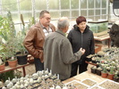 plan 224