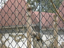 Picture 140