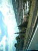 DSCN2498
