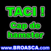 taci%20cap%20de%20hamster[1]