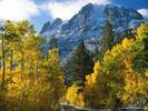 June Lake, California