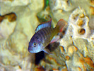 IMG_0254-1-1