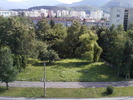 Fotografii-0068