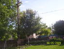 100_9304