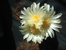 DSC05370