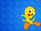 imagenes-piolin-msn