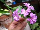 CIMG0071
