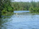 Picture 254