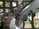 DSCN3104