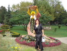 LA NUNTA,IN TARGOVISTE