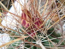 DSC09979