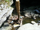 DSCF5208