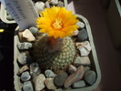 DSCF0475