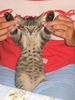 Picture 036