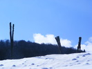 DSCF6978