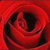 thumb_www_avatare-e_ro_love0028