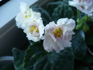 P1150850