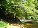 DSCF5395