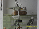 SDC10857