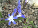 Imag003