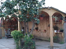 DSC09831