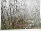 DSCN1973