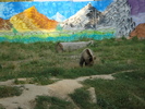 Picture 024